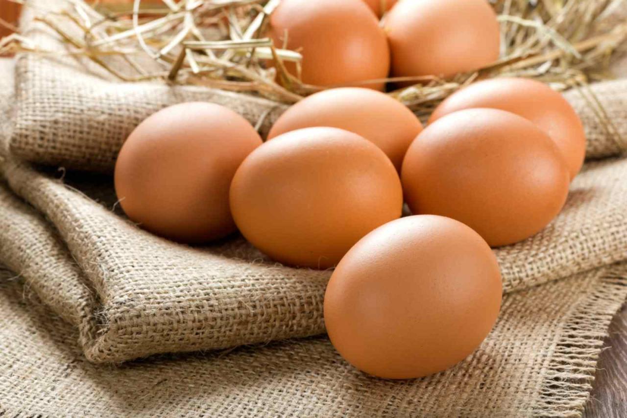 Trứng gà cung cấp protein tuyệt vời