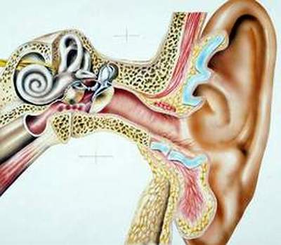 Đeo tai nghe nhiều bị ảnh hưởng