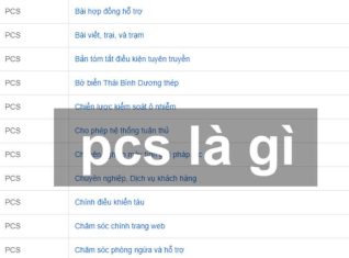 PCS là gì ? Pcs tiếng Anh nghĩa là gì