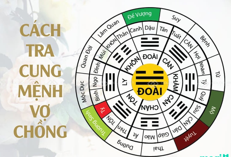 Tra cung mệnh vợ chồng