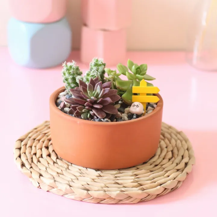 HCM]Chậu đất nung hình trụ thấp trồng cây cảnh để bàn cây nội thất sen đá tiểu cảnh xương rồng | Lazada.vn