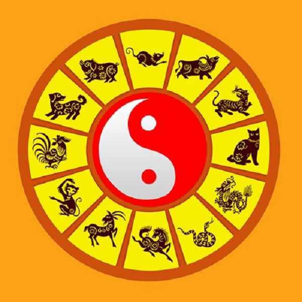 Hệ thống các Chi trong một năm