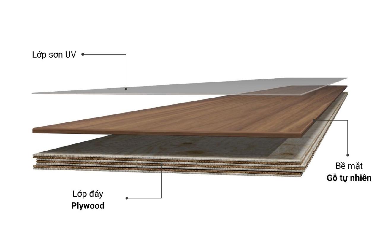 Tất tần tật về ván ép gỗ plywood và ứng dụng của plywood | TRƯỜNG THẮNG